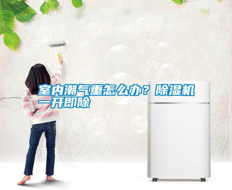 室內(nèi)潮氣重怎么辦？除濕機(jī)一開即除