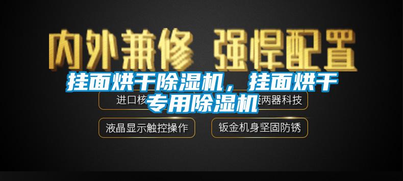 掛面烘干除濕機(jī)，掛面烘干專用除濕機(jī)