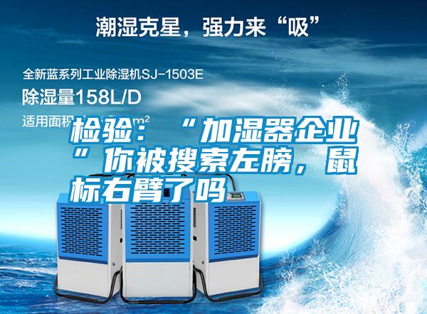 檢驗：“加濕器企業(yè)”你被搜索左膀，鼠標(biāo)右臂了嗎