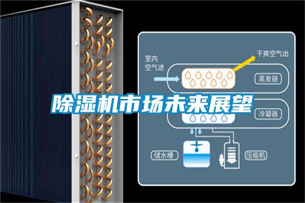 除濕機(jī)市場(chǎng)未來展望