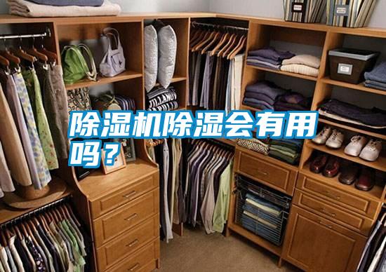 除濕機除濕會有用嗎？