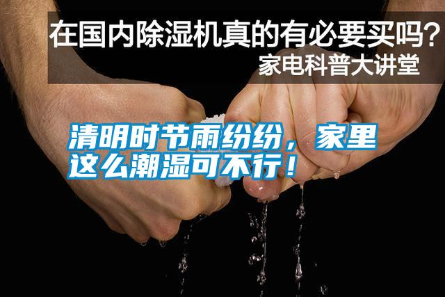 清明時(shí)節(jié)雨紛紛，家里這么潮濕可不行！