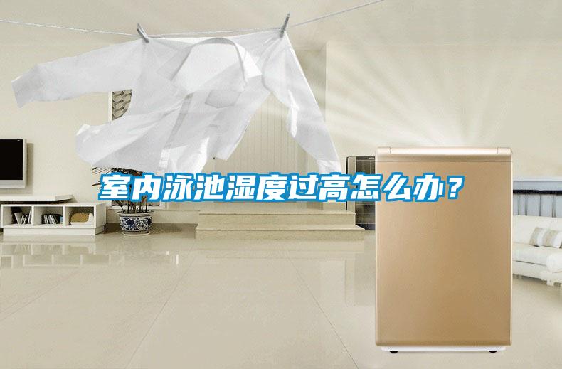 室內(nèi)泳池濕度過高怎么辦？