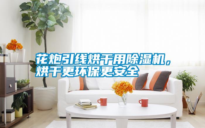 花炮引線烘干用除濕機，烘干更環(huán)保更安全