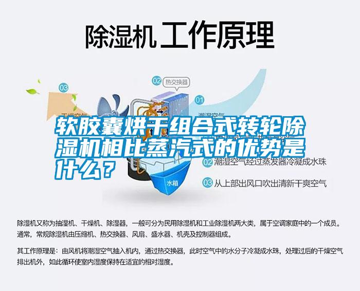 軟膠囊烘干組合式轉(zhuǎn)輪除濕機(jī)相比蒸汽式的優(yōu)勢是什么？