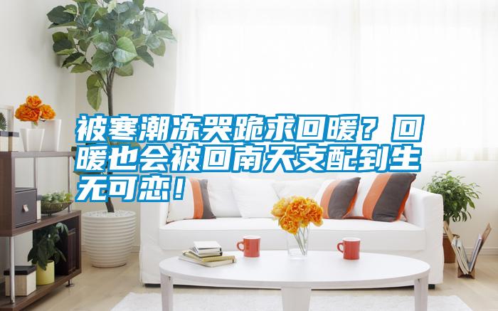 被寒潮凍哭跪求回暖？回暖也會被回南天支配到生無可戀！
