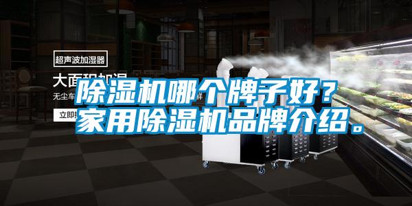 除濕機哪個牌子好？家用除濕機品牌介紹。