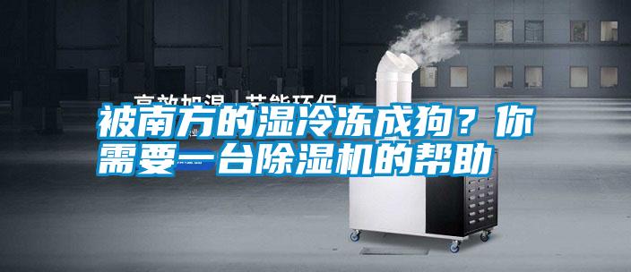 被南方的濕冷凍成狗？你需要一臺除濕機的幫助