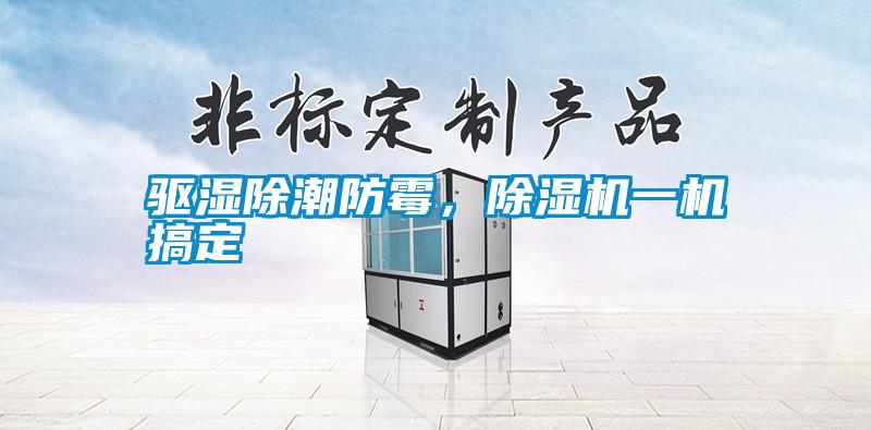 驅(qū)濕除潮防霉，除濕機(jī)一機(jī)搞定
