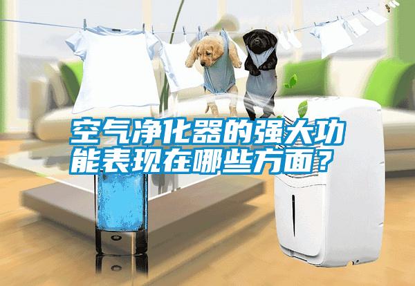 空氣凈化器的強大功能表現(xiàn)在哪些方面？