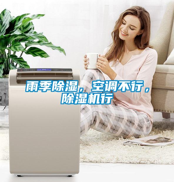 雨季除濕，空調(diào)不行，除濕機(jī)行