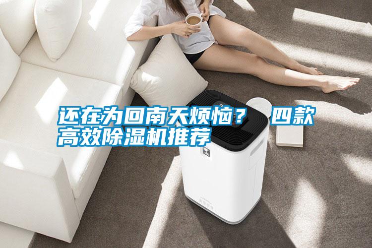 還在為回南天煩惱？ 四款高效除濕機(jī)推薦