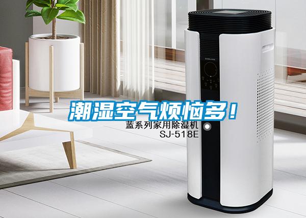 潮濕空氣煩惱多！