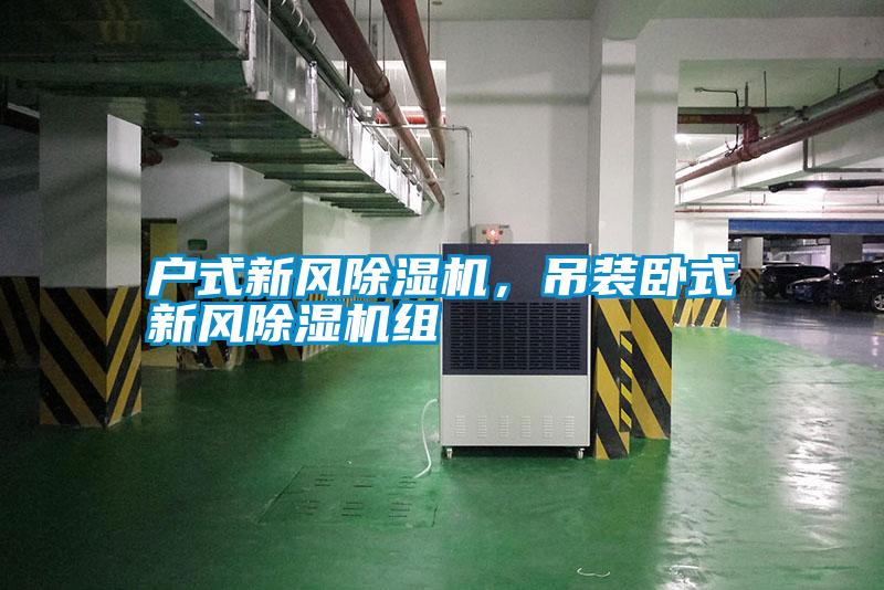 戶(hù)式新風(fēng)除濕機(jī)，吊裝臥式新風(fēng)除濕機(jī)組