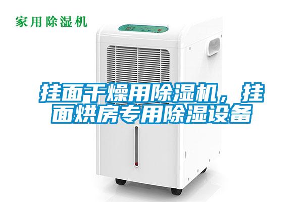 掛面干燥用除濕機，掛面烘房專用除濕設(shè)備