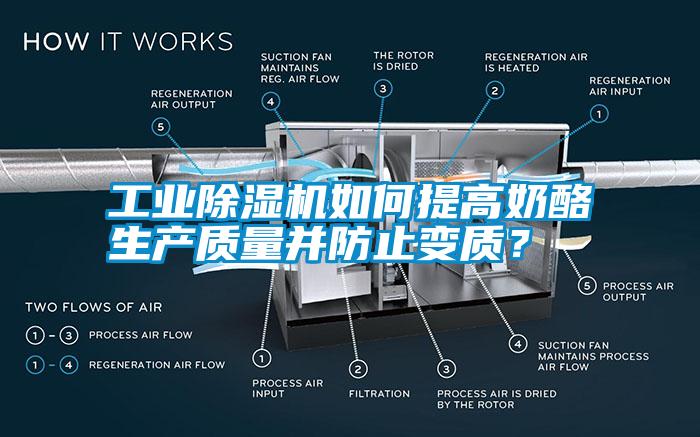 工業(yè)除濕機(jī)如何提高奶酪生產(chǎn)質(zhì)量并防止變質(zhì)？