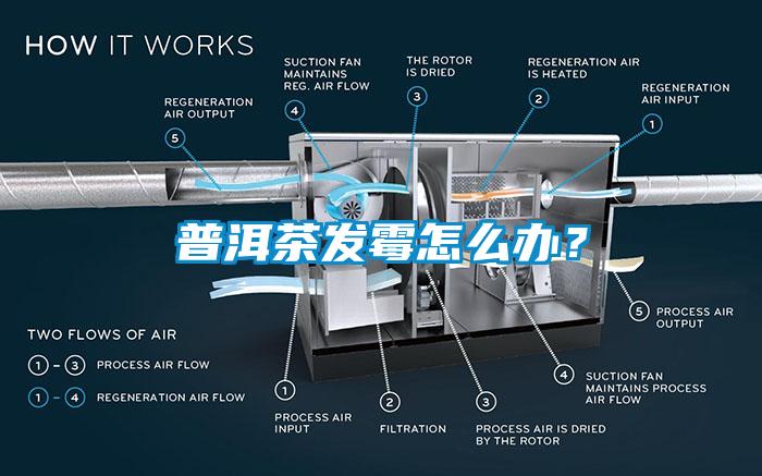 普洱茶發(fā)霉怎么辦？
