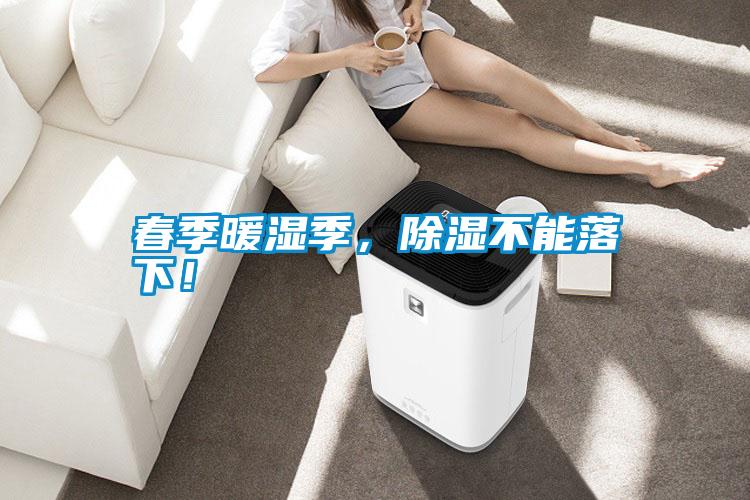 春季暖濕季，除濕不能落下！