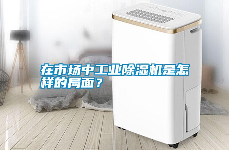 在市場中工業(yè)除濕機(jī)是怎樣的局面？