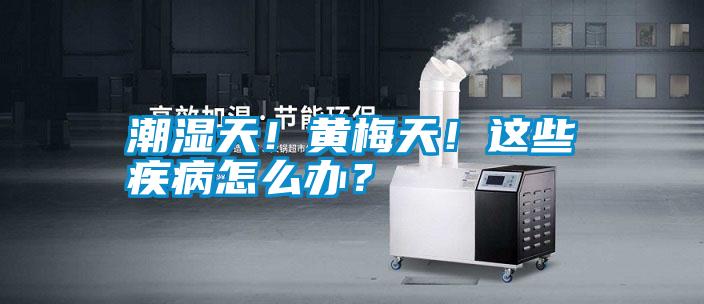潮濕天！黃梅天！這些疾病怎么辦？