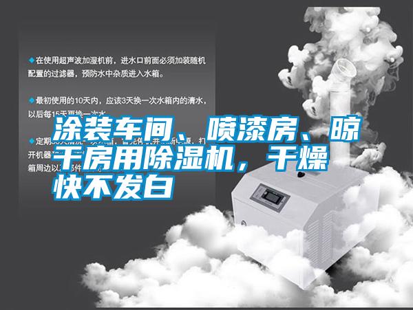 涂裝車間、噴漆房、晾干房用除濕機，干燥快不發(fā)白