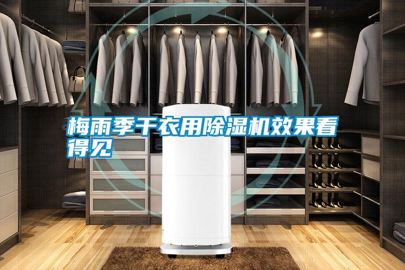 梅雨季干衣用除濕機(jī)效果看得見(jiàn)