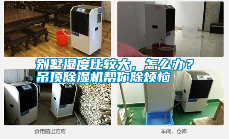 別墅濕度比較大，怎么辦？吊頂除濕機幫你除煩惱