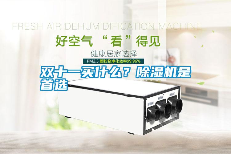 雙十一買什么？除濕機是首選