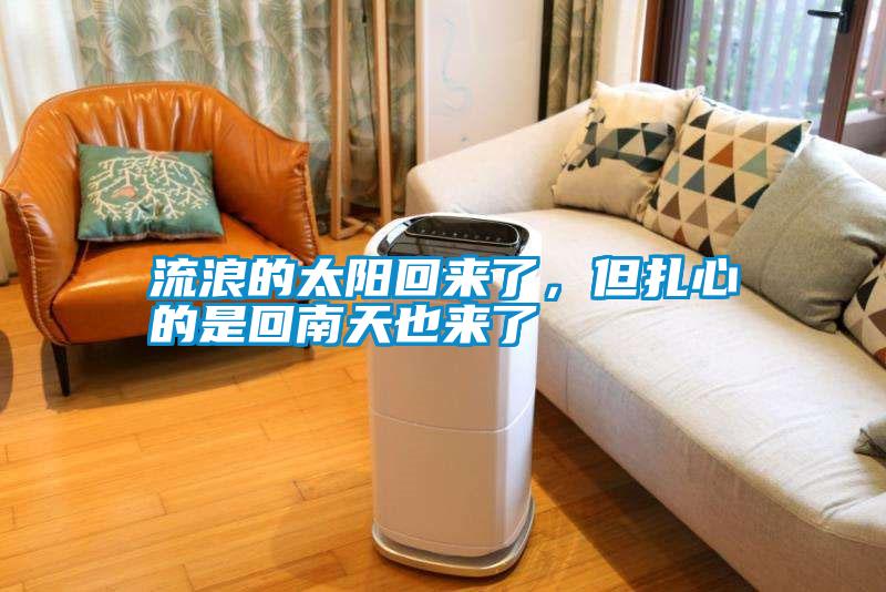 流浪的太陽回來了，但扎心的是回南天也來了