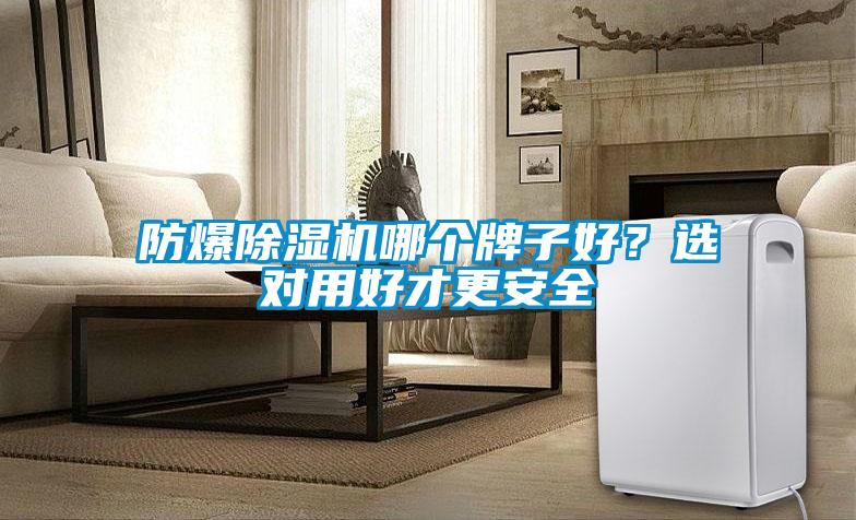 防爆除濕機(jī)哪個(gè)牌子好？選對(duì)用好才更安全
