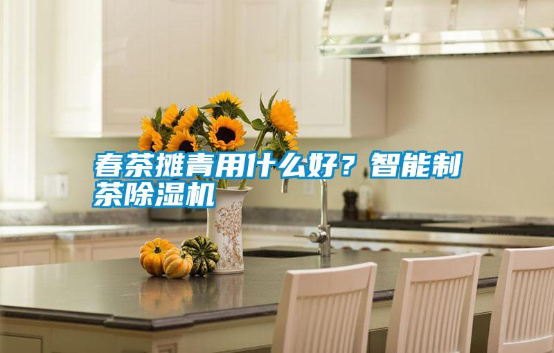 春茶攤青用什么好？智能制茶除濕機