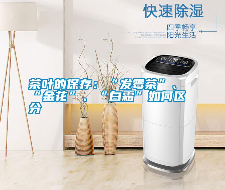 茶葉的保存：“發(fā)霉茶”、“金花”、“白霜”如何區(qū)分