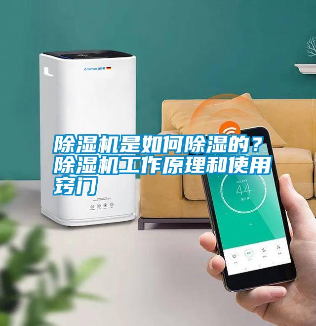 除濕機(jī)是如何除濕的？除濕機(jī)工作原理和使用竅門