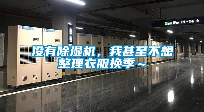 沒有除濕機，我甚至不想整理衣服換季～