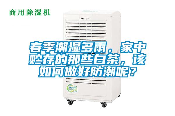 春季潮濕多雨，家中貯存的那些白茶，該如何做好防潮呢？