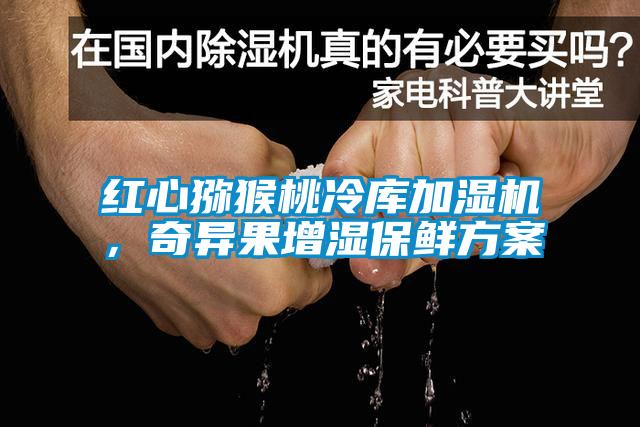 紅心獼猴桃冷庫加濕機，奇異果增濕保鮮方案