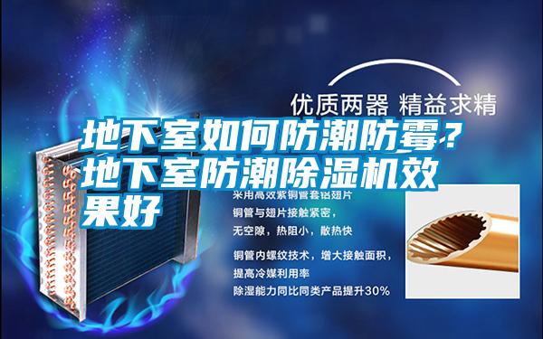 地下室如何防潮防霉？地下室防潮除濕機(jī)效果好