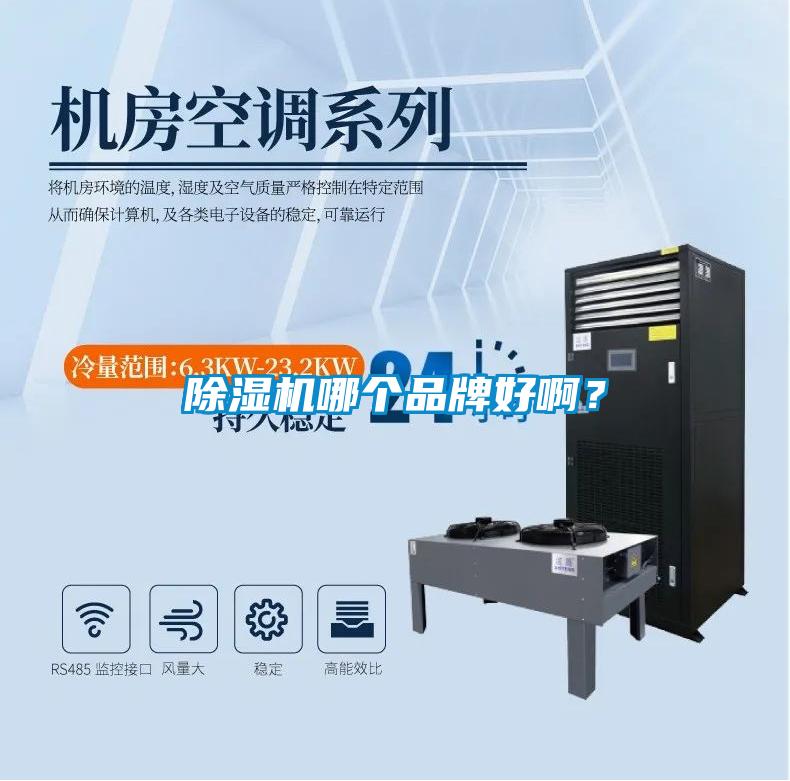 除濕機(jī)哪個(gè)品牌好?。?></div>
								<div   id=
