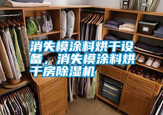 消失模涂料烘干設(shè)備，消失模涂料烘干房除濕機(jī)