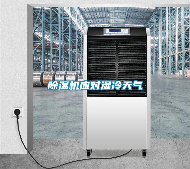 除濕機(jī)應(yīng)對濕冷天氣