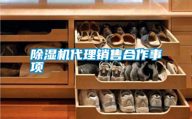 除濕機(jī)代理銷售合作事項(xiàng)