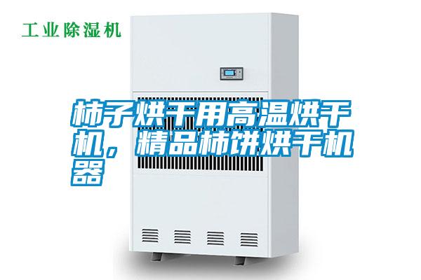 柿子烘干用高溫烘干機(jī)，精品柿餅烘干機(jī)器