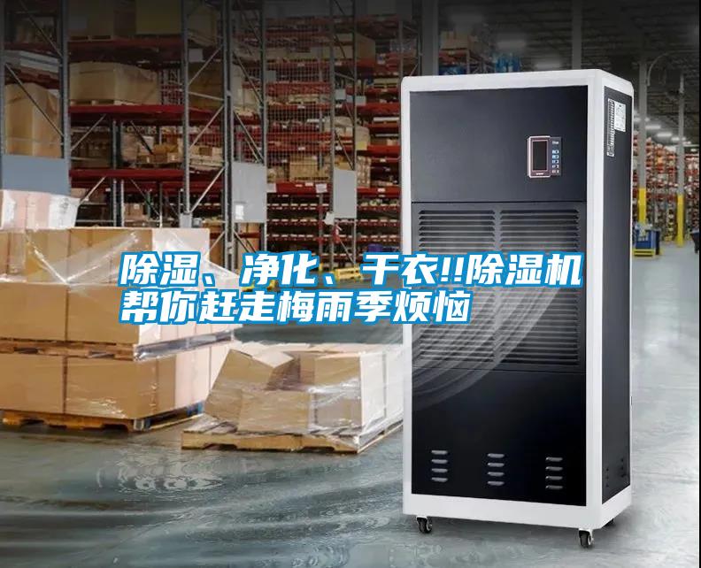 除濕、凈化、干衣!!除濕機(jī)幫你趕走梅雨季煩惱