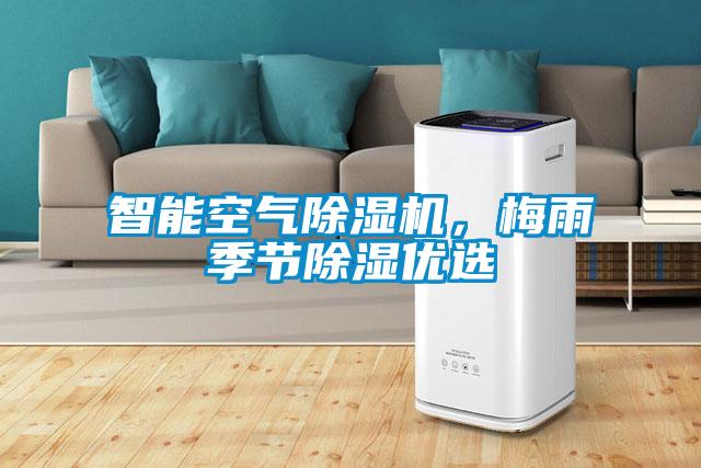 智能空氣除濕機(jī)，梅雨季節(jié)除濕優(yōu)選