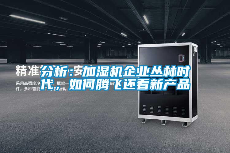分析：加濕機企業(yè)叢林時代，如何騰飛還看新產(chǎn)品