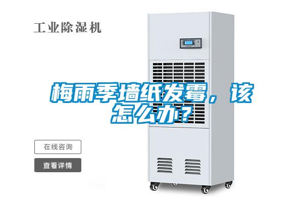 梅雨季墻紙發(fā)霉，該怎么辦？