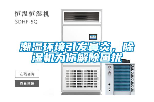 潮濕環(huán)境引發(fā)鼻炎，除濕機為你解除困擾