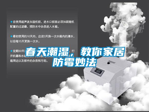 春天潮濕，教你家居防霉妙法