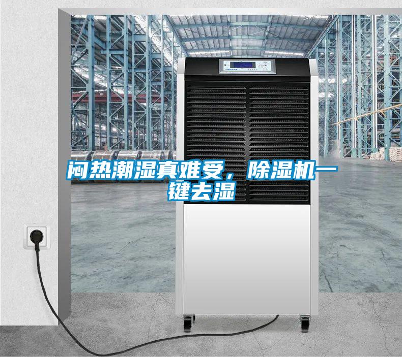 悶熱潮濕真難受，除濕機(jī)一鍵去濕