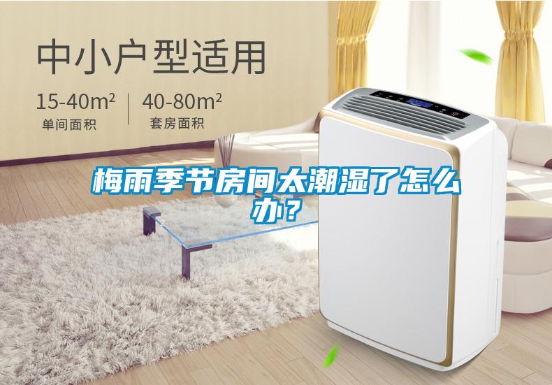梅雨季節(jié)房間太潮濕了怎么辦？